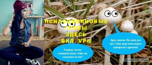 PSILOCYBIN Белокуриха